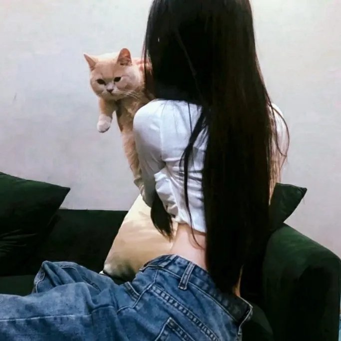 纸牌屋第一季 在线观看